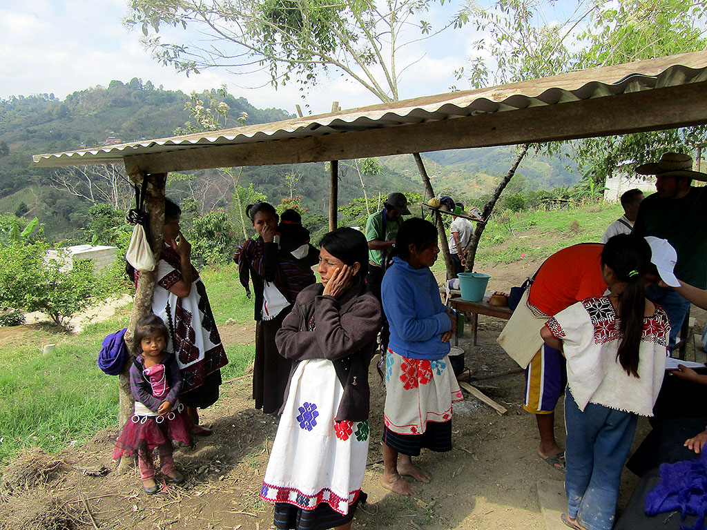 Desplazamiento De Pueblos Indígenas En Chiapas Un Grave Problema The Mayan Journal